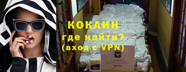 сатива Аркадак