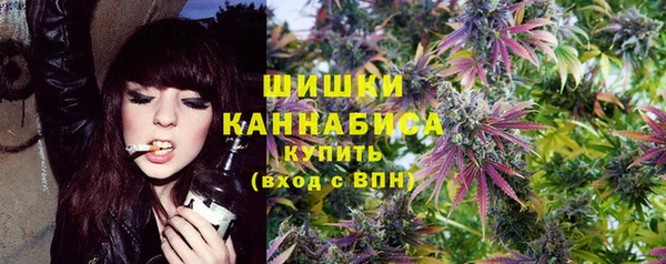 прущие грибы Алзамай
