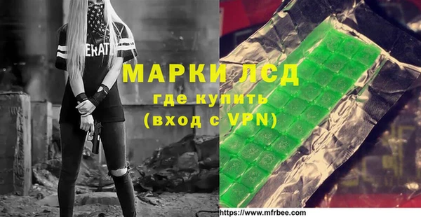 прущие грибы Алзамай
